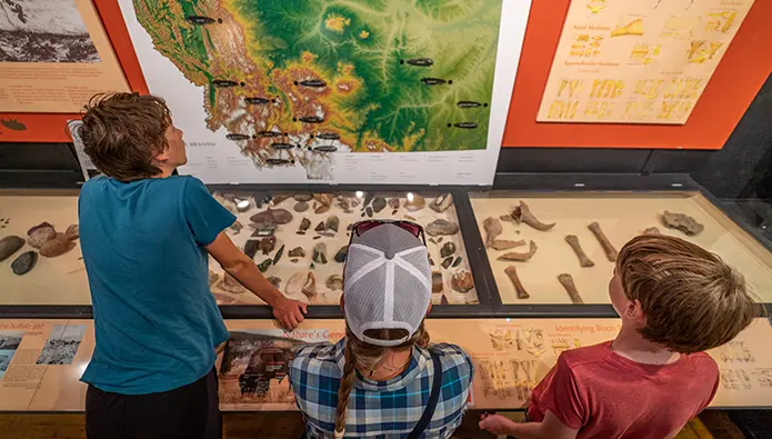 family looking at museum exhibit